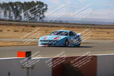 media/Nov-16-2024-CalClub SCCA (Sat) [[641f3b2761]]/Group 6/Grid and Front Straight/